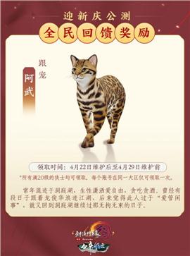 私服天龙八部毁灭版本
